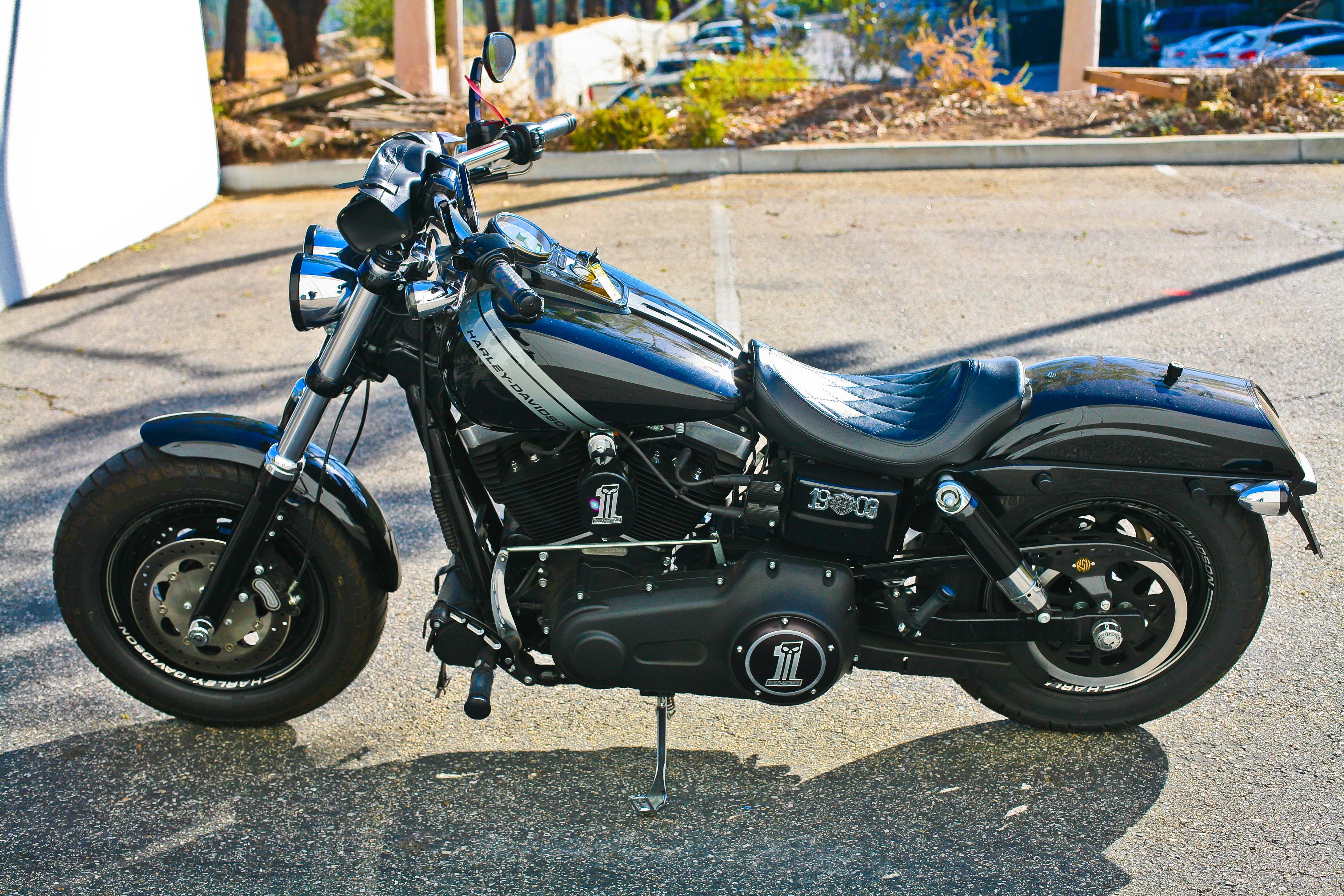 used harley fat bob